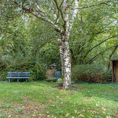 Petit Marais En Venise Verte *