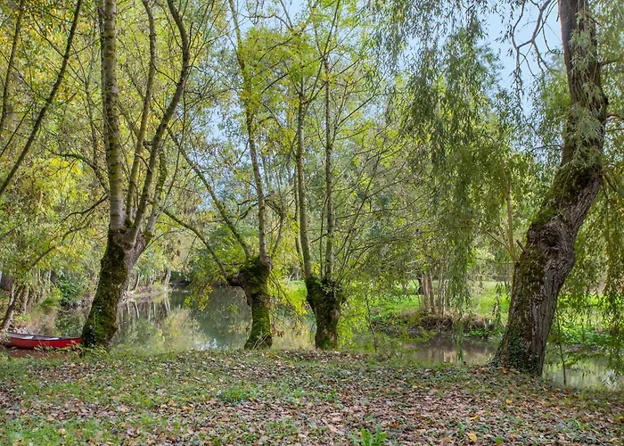 Petit Marais En Venise Verte * Liez